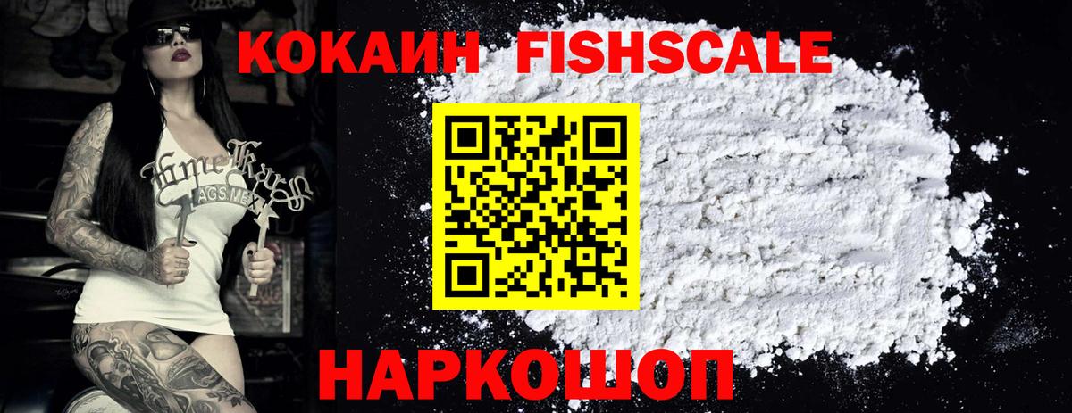 COCAIN FishScale  COCAIN Эквадор  Аша  купить закладку  Вход с VPN 