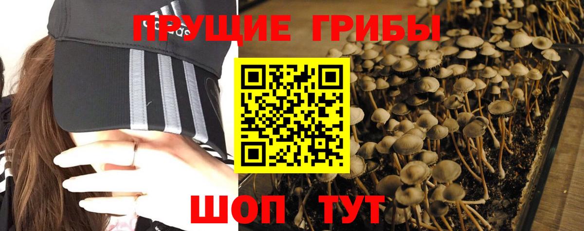 Аша  Галлюциногенные грибы мухоморы  Вход с VPN  Галлюциногенные грибы GOLDEN TEACHER 